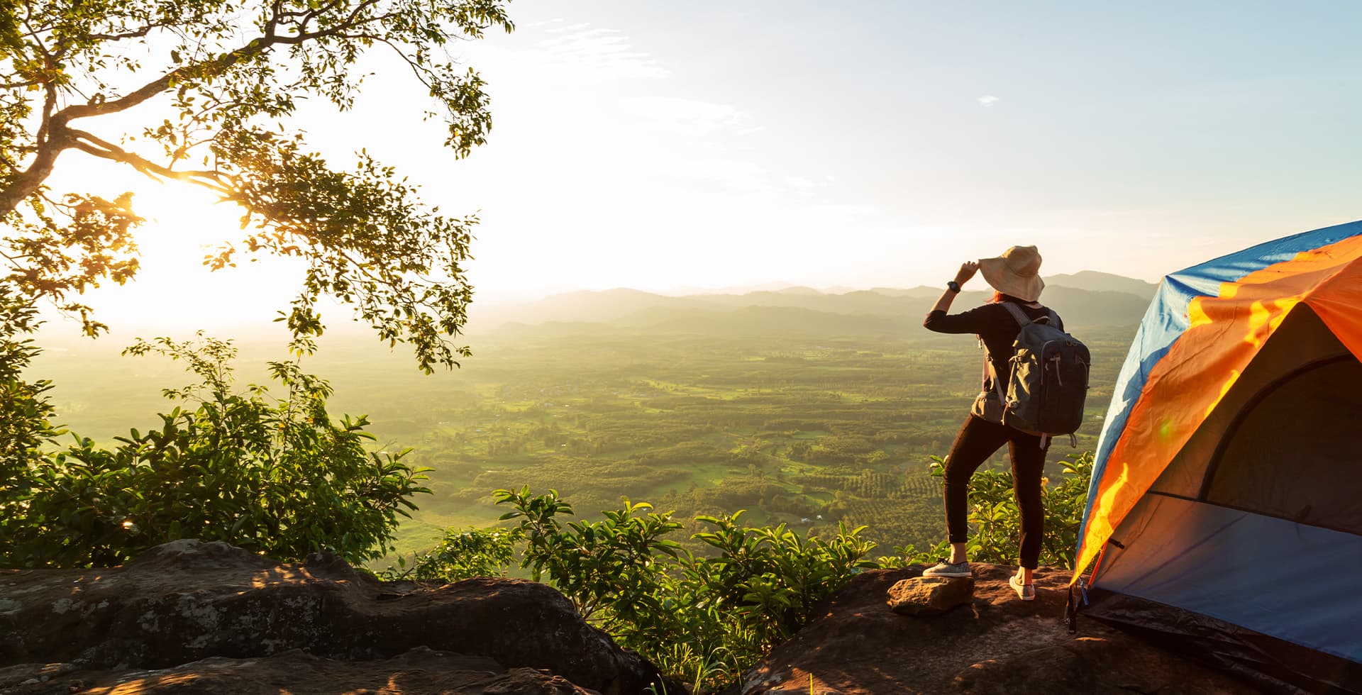 エーブルプラントMV画像